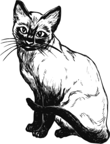 Siamese Cat Drawing Clip Art
